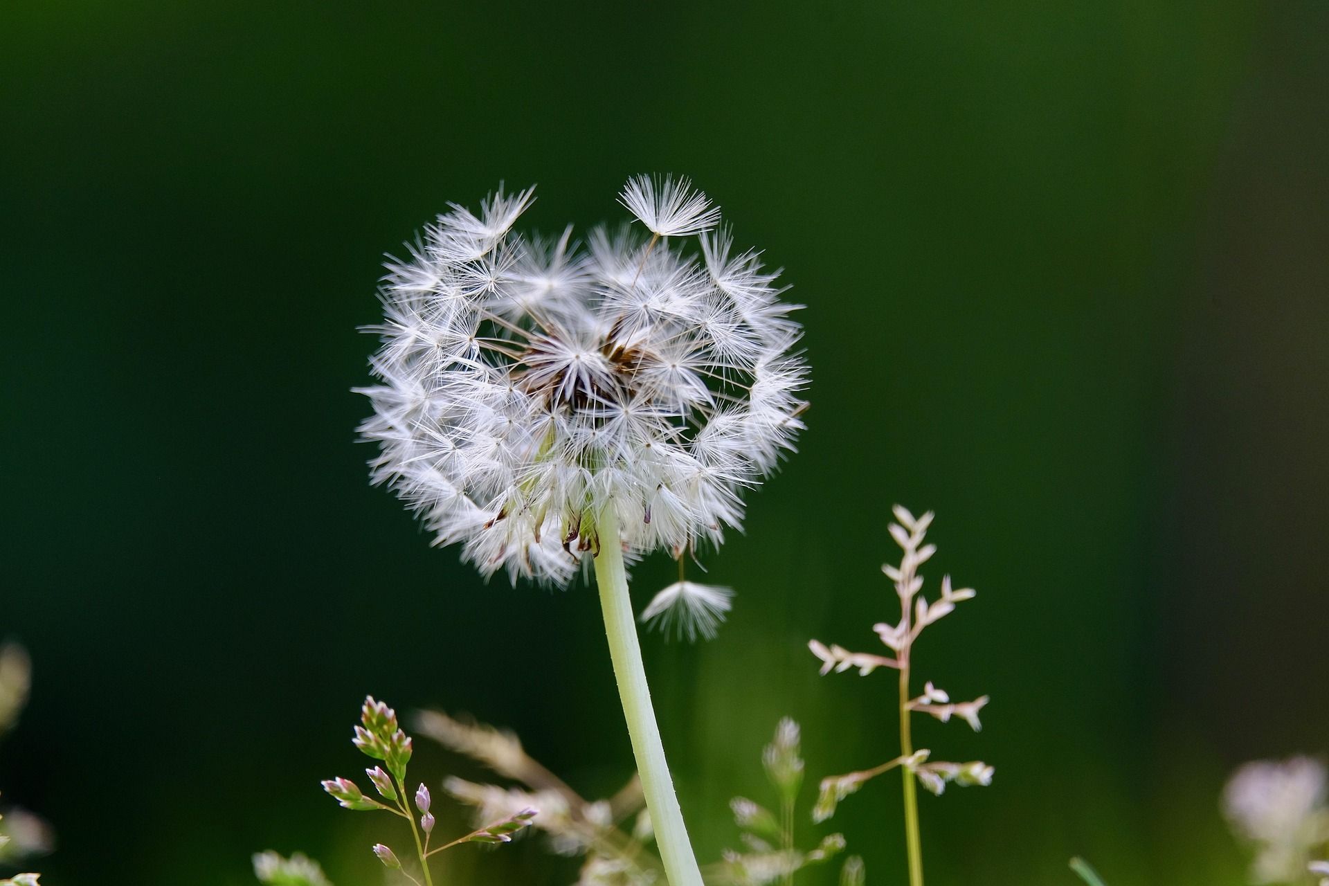 나의 여자친구에게