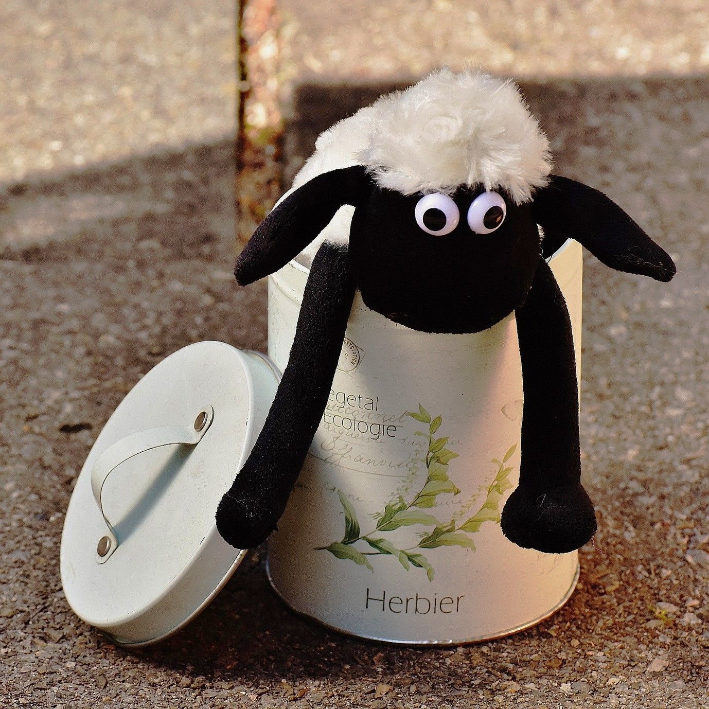 거의 행복해 (Almost Happy) Loop ver.