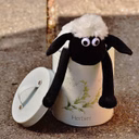 거의 행복해 (Almost Happy) Loop ver.