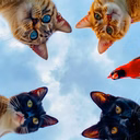 일단 자연스럽게 (Acting Casual) Loop ver.