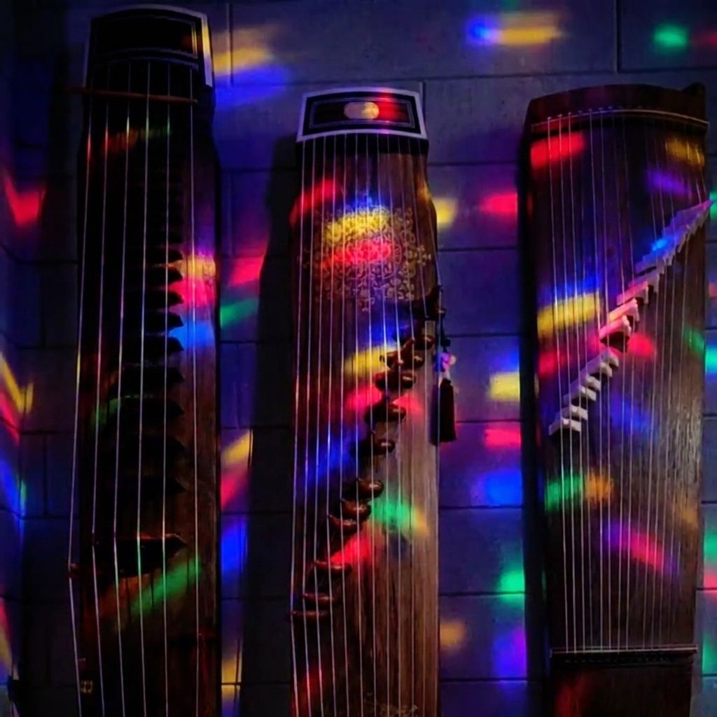 WISHPOT_GAYAGEUM DISCO