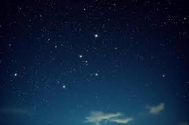 Stella with text message